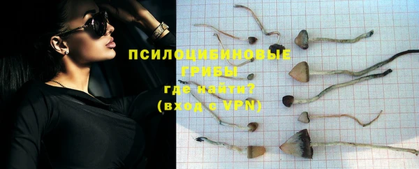 гашик Волоколамск