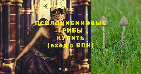 гашик Волосово