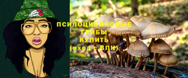 МДПВ Володарск