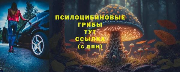 гашик Волосово